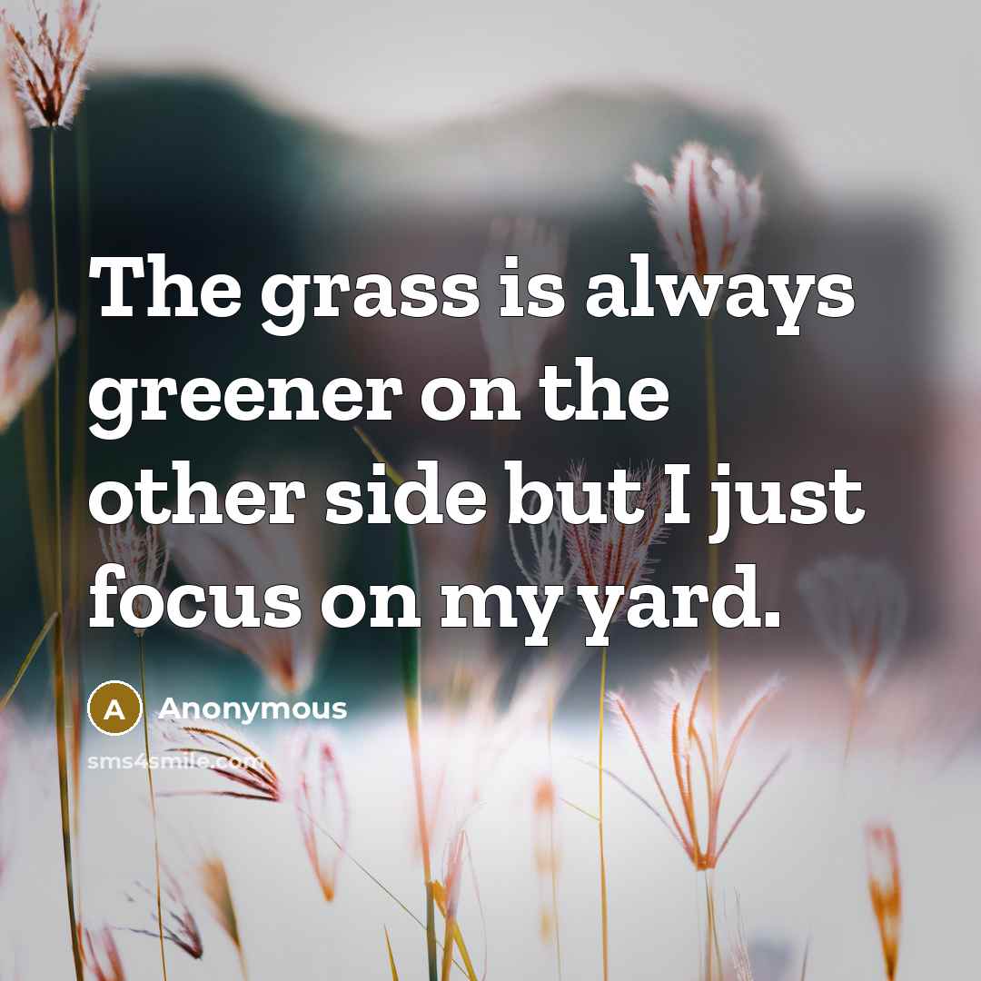 “The grass is always greener on the other side but I just focus on my yard.” quote by Anonymous