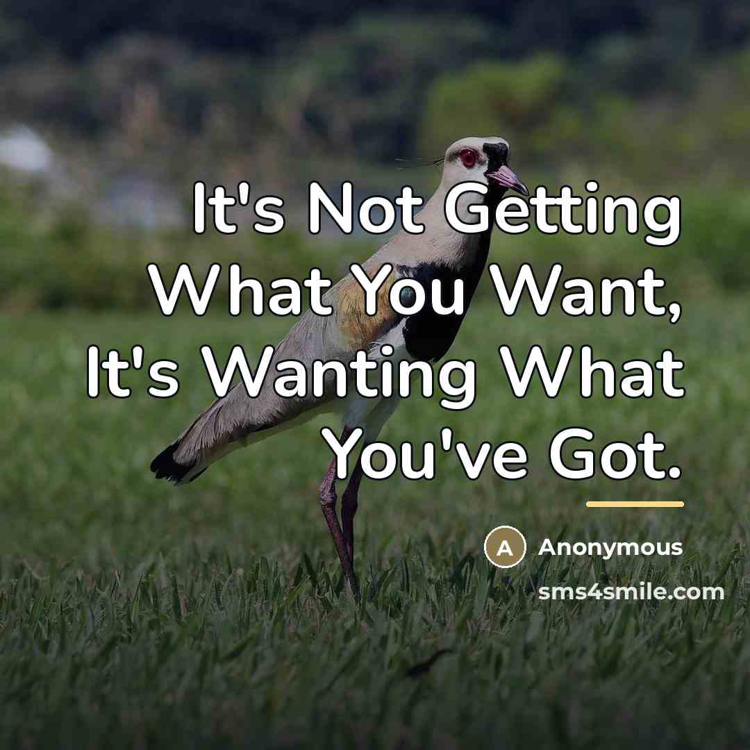 “It's Not Getting What You Want, It's Wanting What You've…” quote by Anonymous