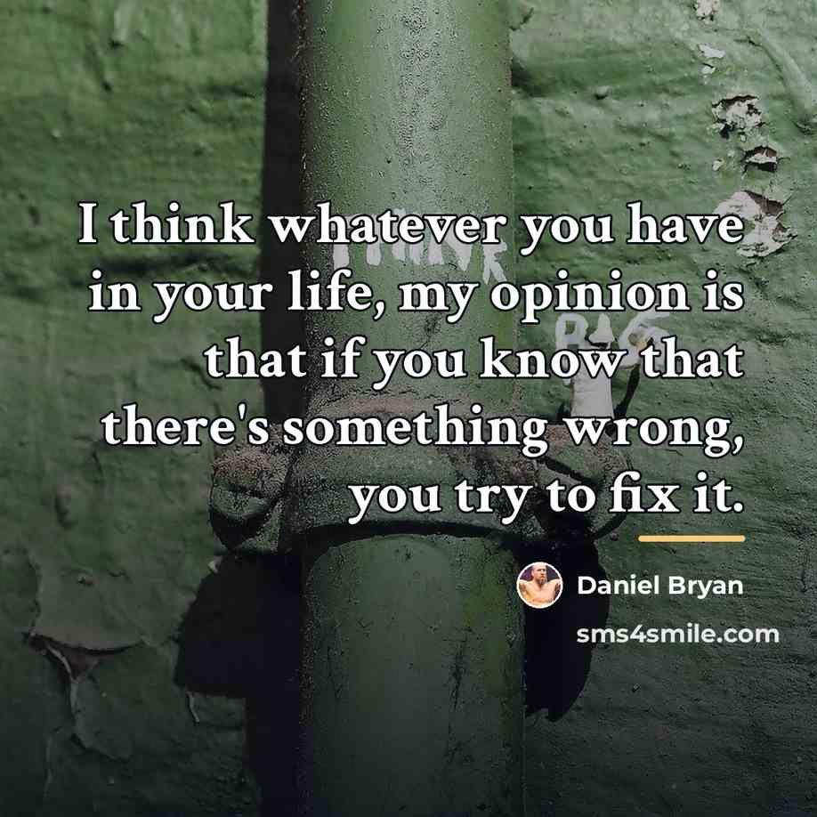 “I think whatever you have in your life, my opinion…” quote by Daniel Bryan