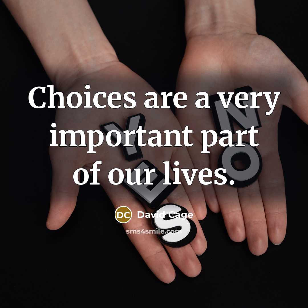 “Choices are a very important part of our lives.…” quote by David Cage