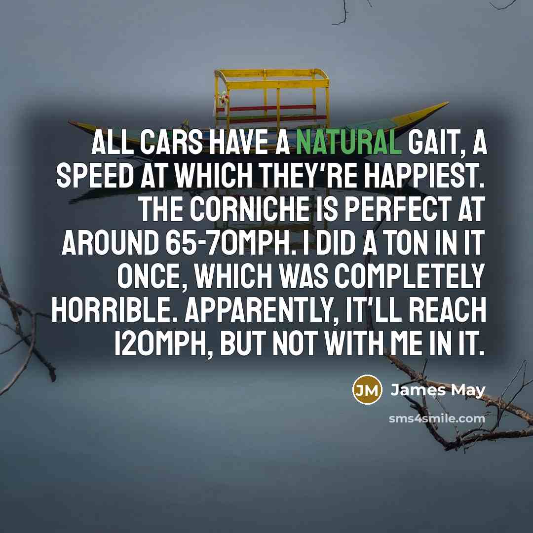 “All cars have a natural gait, a speed at which…” quote by James May