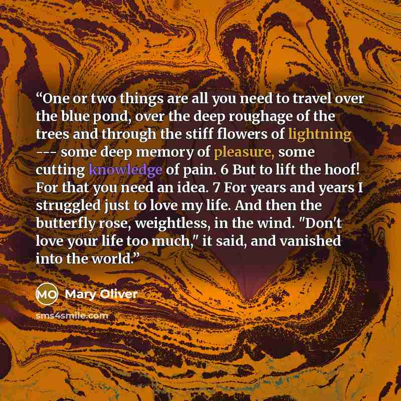 “One or two things are all you need to travel over the blue pond, over the deep roughage of the trees and through the stiff flowers of lightning --- some deep memory of pleasure, some cutting knowledge of pain. 6 But to lift the hoof! For that you need an idea. 7 For years and years I struggled…” quote by Mary Oliver
