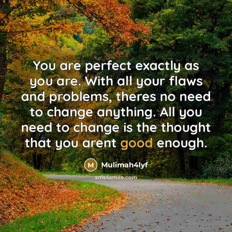“You are perfect exactly as you are. With all your…” quote by Mulimah4lyf