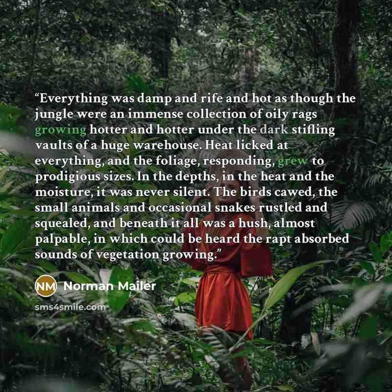 “Everything was damp and rife and hot as though the jungle were an immense collection of oily rags growing hotter and hotter under the dark stifling vaults of a huge warehouse. Heat licked at everything, and the foliage, responding, grew to prodigious sizes. In the depths, in the heat and the…” quote by Norman Mailer