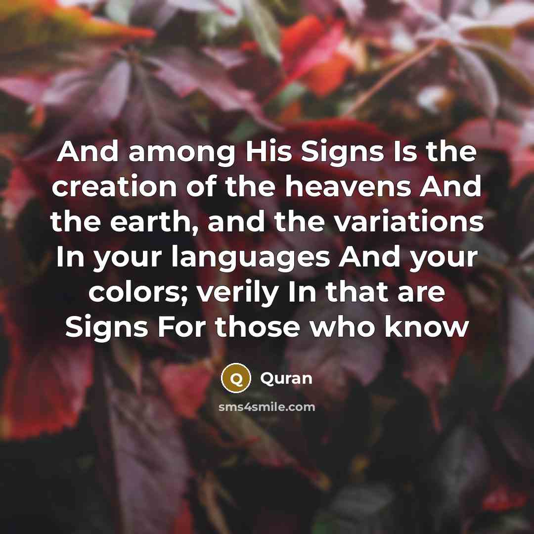 “And among His Signs Is the creation of the heavens…” quote by Quran