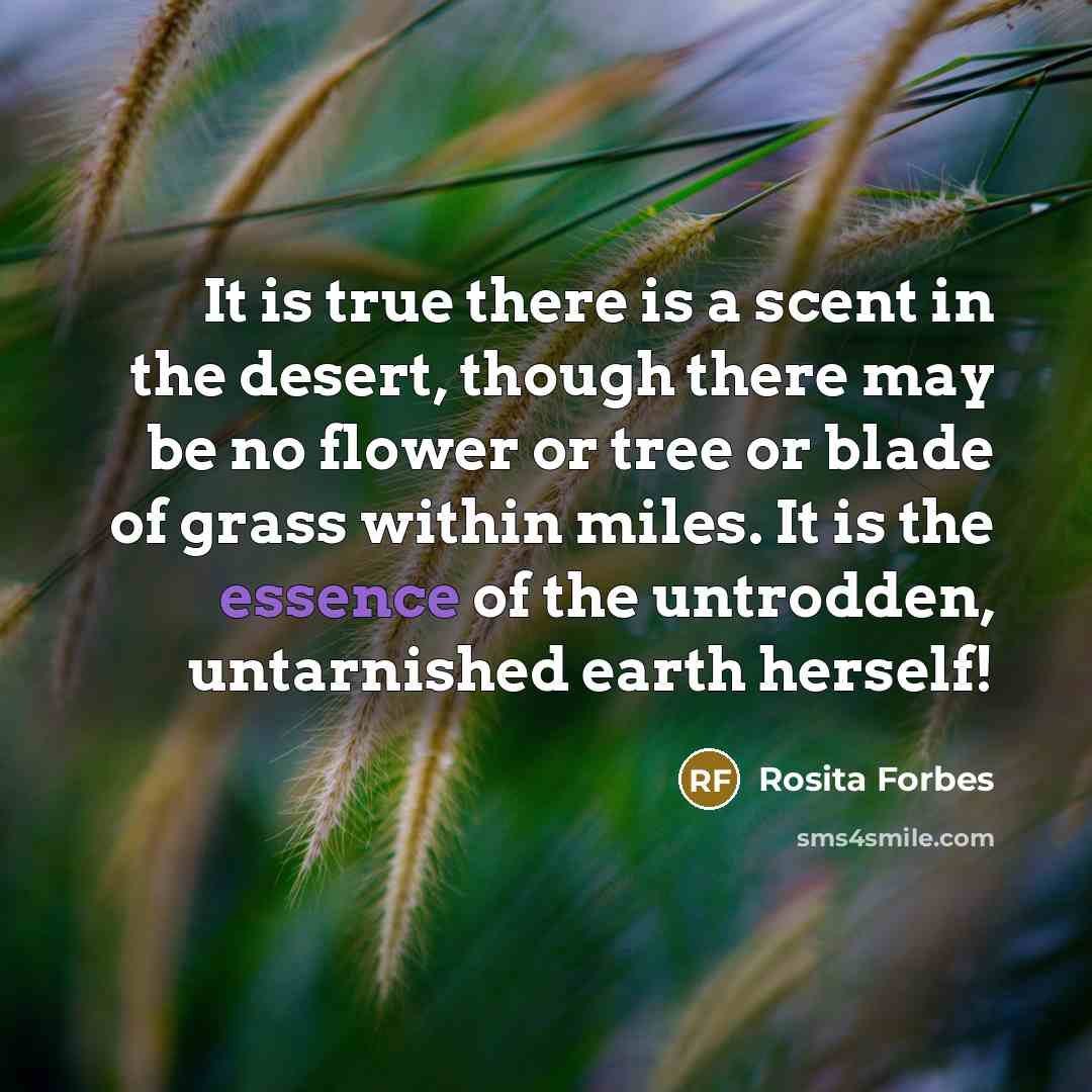 “It is true there is a scent in the desert,…” quote by Rosita Forbes