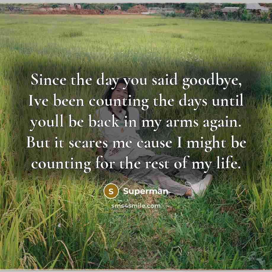 “Since the day you said goodbye, Ive been counting the…” quote by Superman