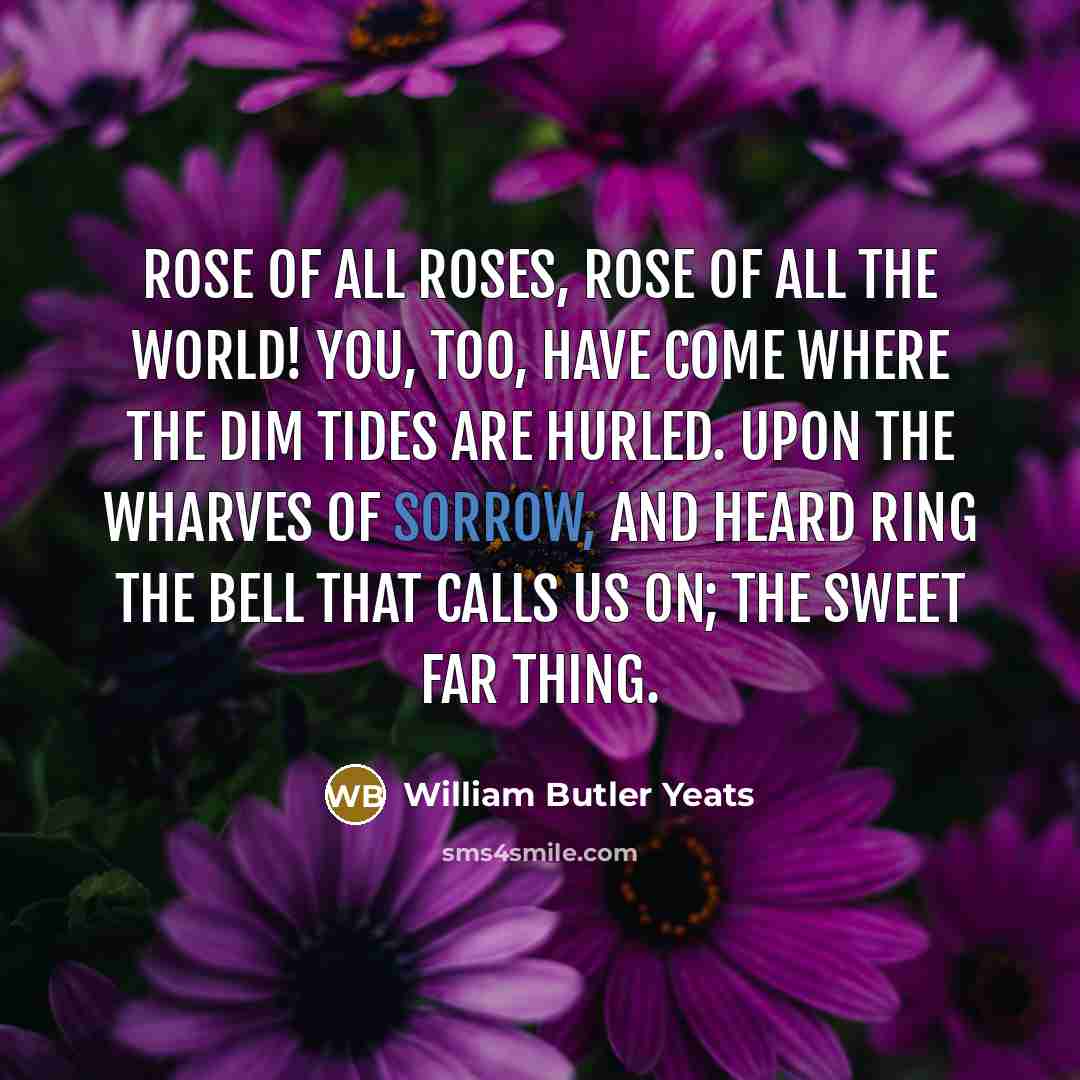 “Rose of all Roses, Rose of all the World! You,…” quote by William Butler Yeats