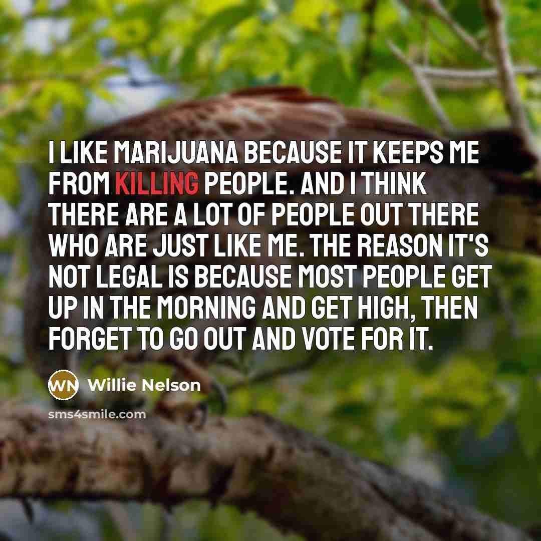 “I like marijuana because it keeps me from killing people.…” quote by Willie Nelson