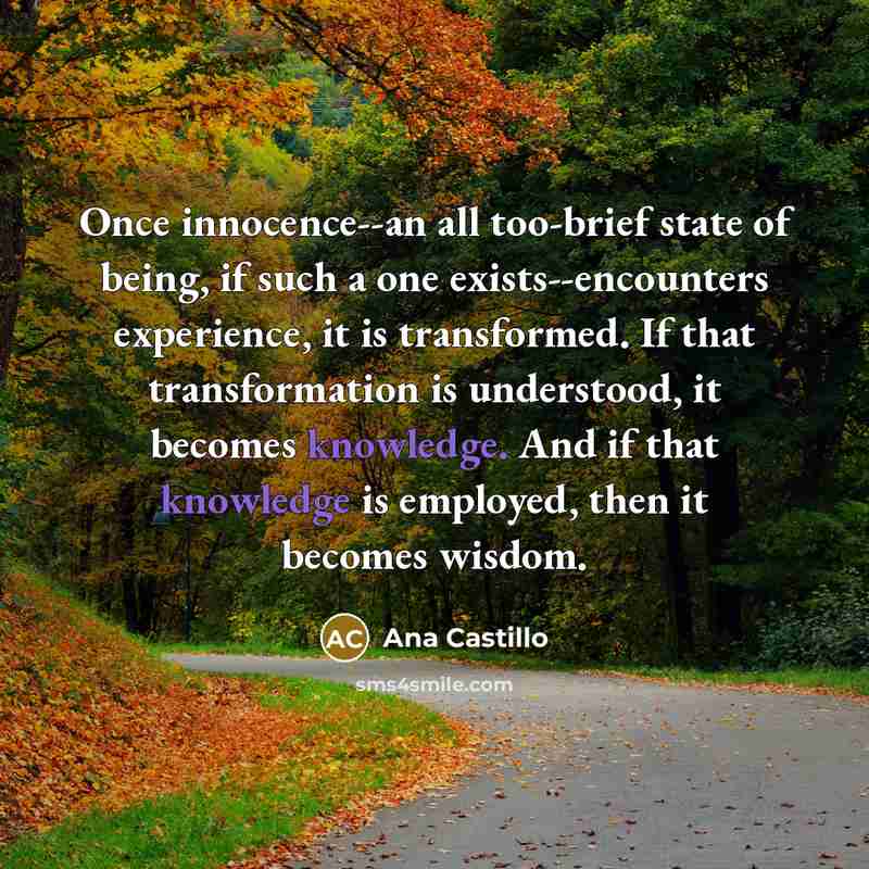 “Once innocence--an all too-brief state of being, if such a…” quote by Ana Castillo