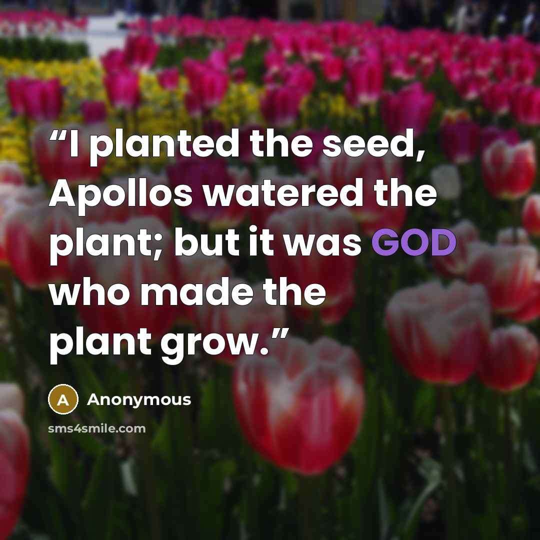 “I planted the seed, Apollos watered the plant; but it was GOD who made the plant grow.” quote by Anonymous