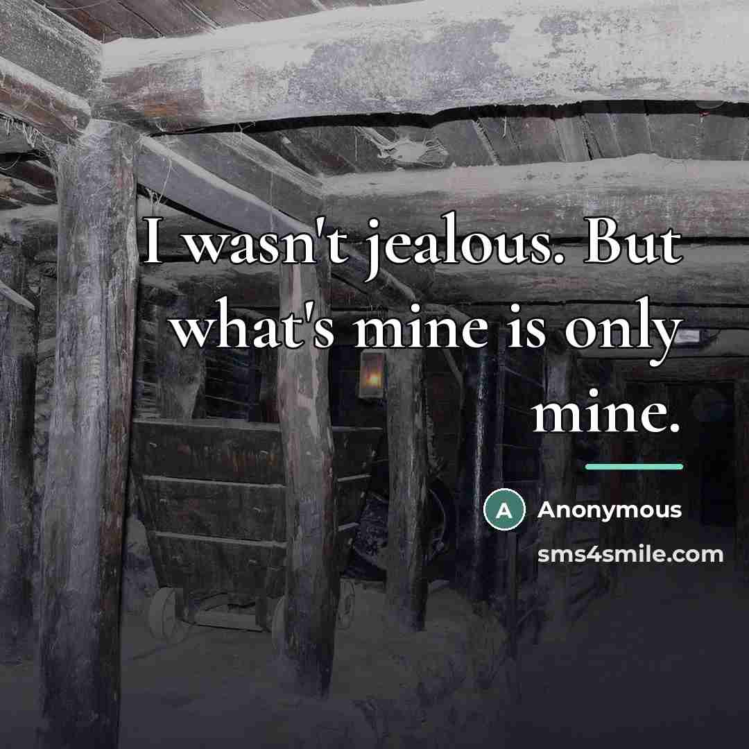 “I wasn't jealous. But what's mine is only mine.…” quote by Anonymous