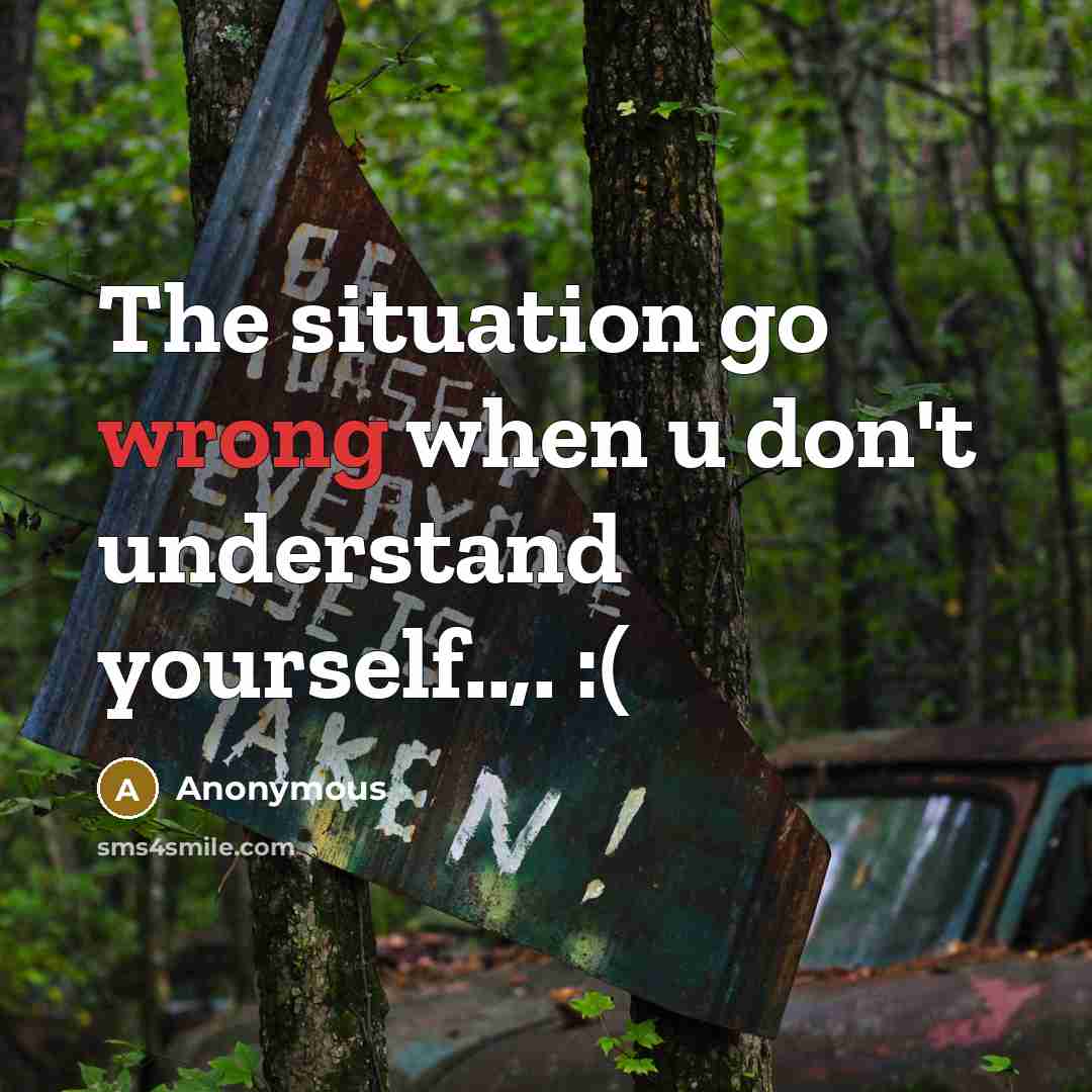 “The situation go wrong when u don't understand yourself..,. :(…” quote by Anonymous