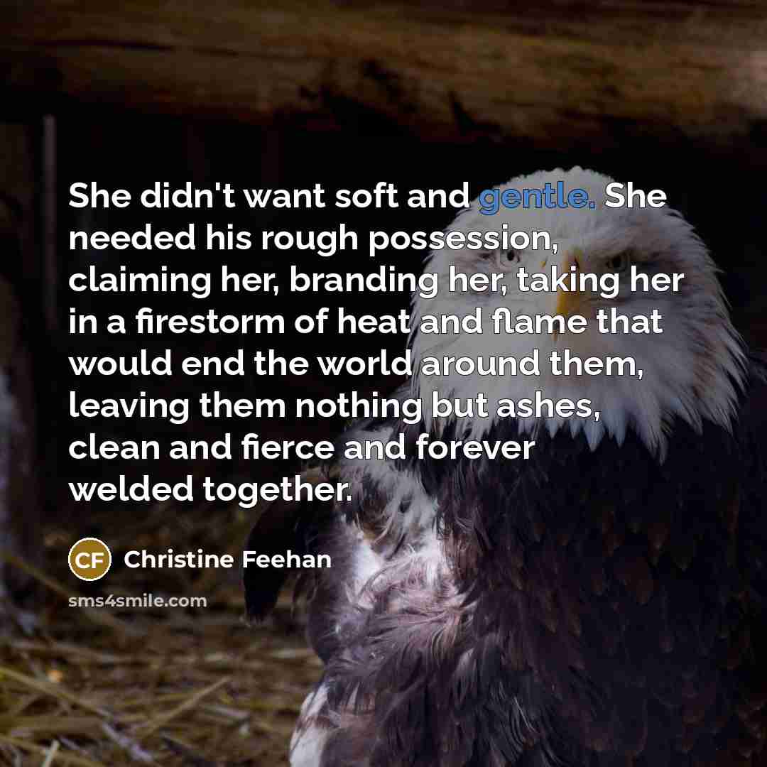 “She didn't want soft and gentle. She needed his rough…” quote by Christine Feehan