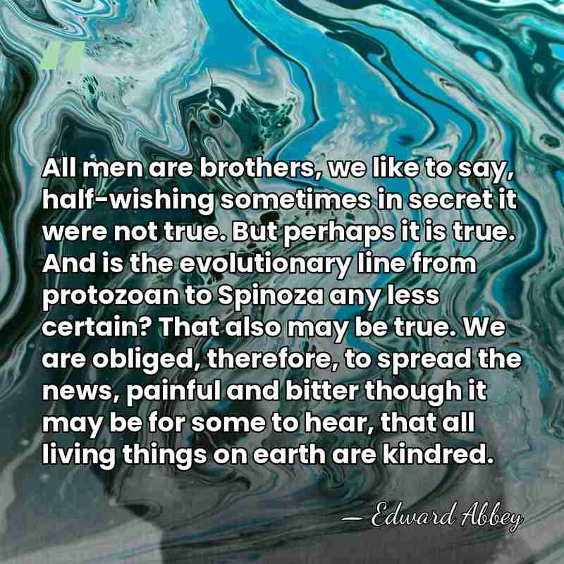 All men are brothers, we like to say, half-wishing sometimes in secret&hellip; - Edward Abbey
