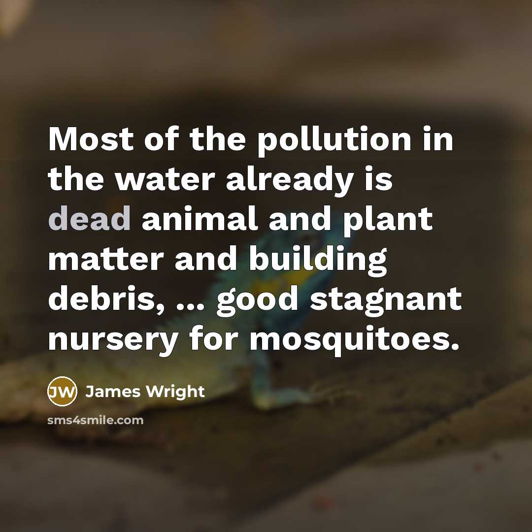 “Most of the pollution in the water already is dead…” quote by James Wright