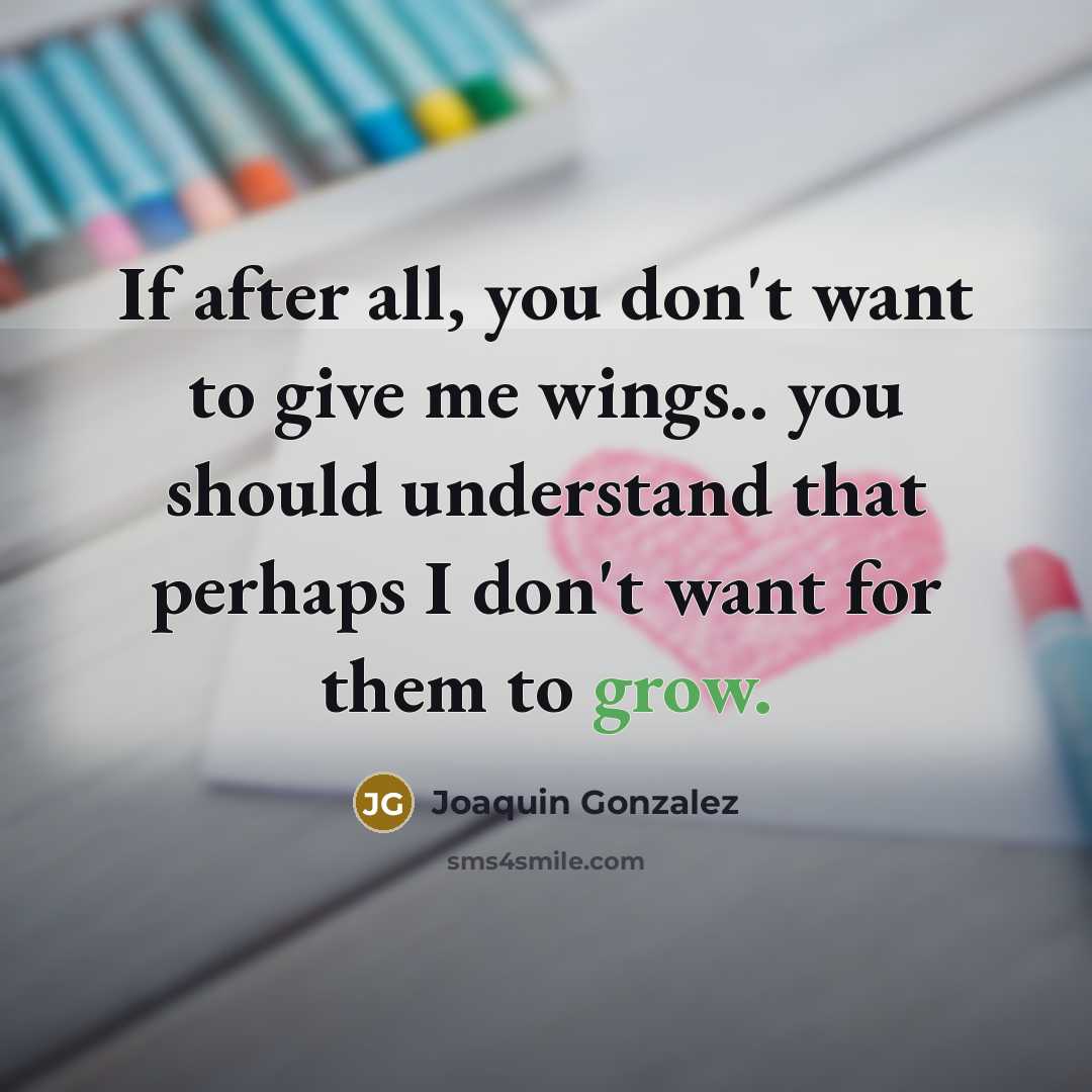 “If after all, you don't want to give me wings..…” quote by Joaquin Gonzalez