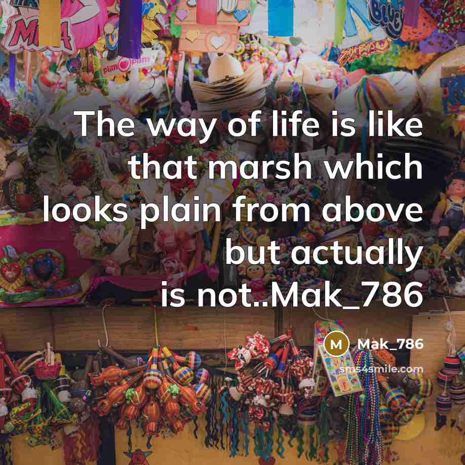 “The way of life is like that marsh which looks…” quote by Mak_786