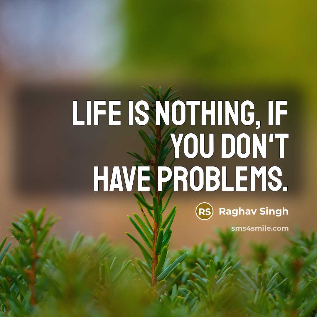 “Life is nothing, if you don't have problems.…” quote by Raghav Singh
