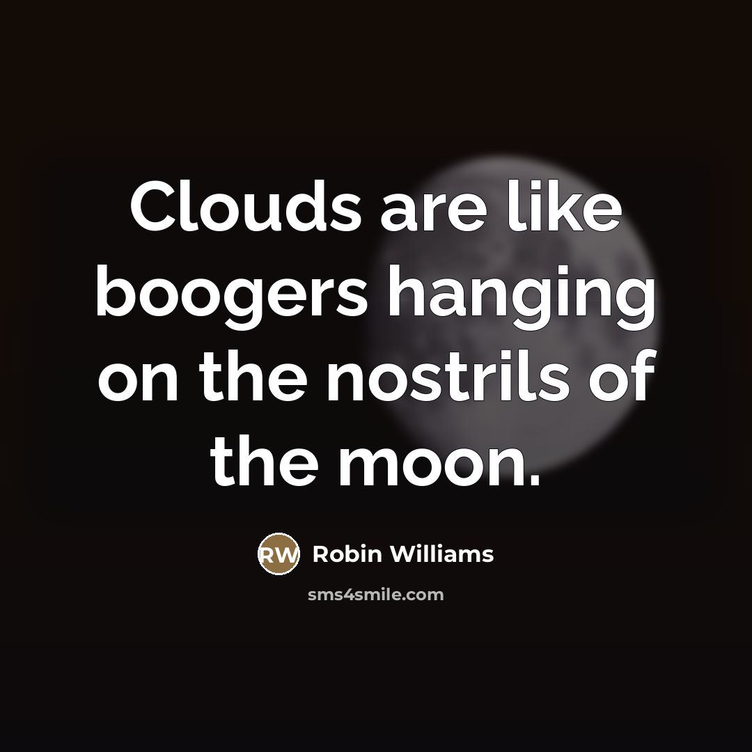 “Clouds are like boogers hanging on the nostrils of the…” quote by Robin Williams