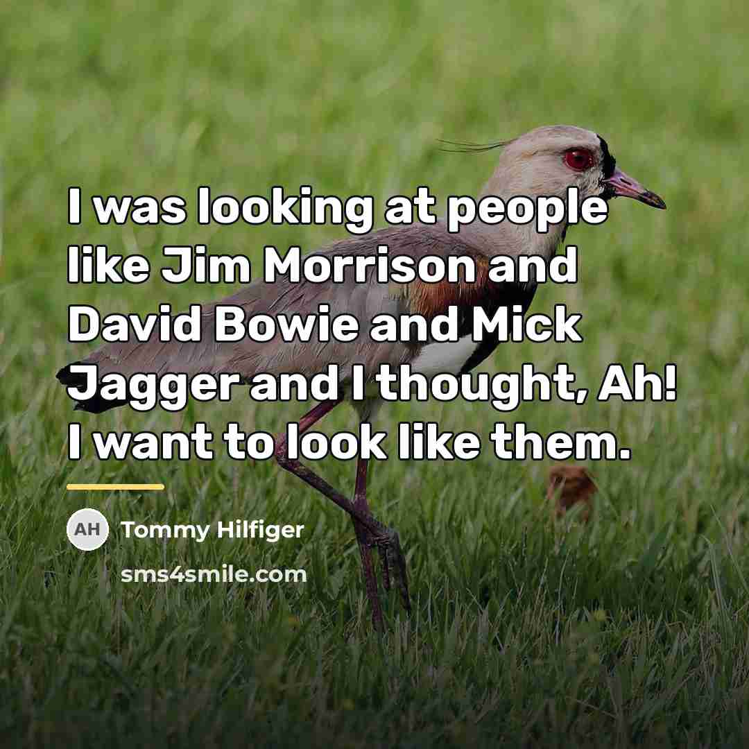 “I was looking at people like Jim Morrison and David…” quote by Tommy Hilfiger