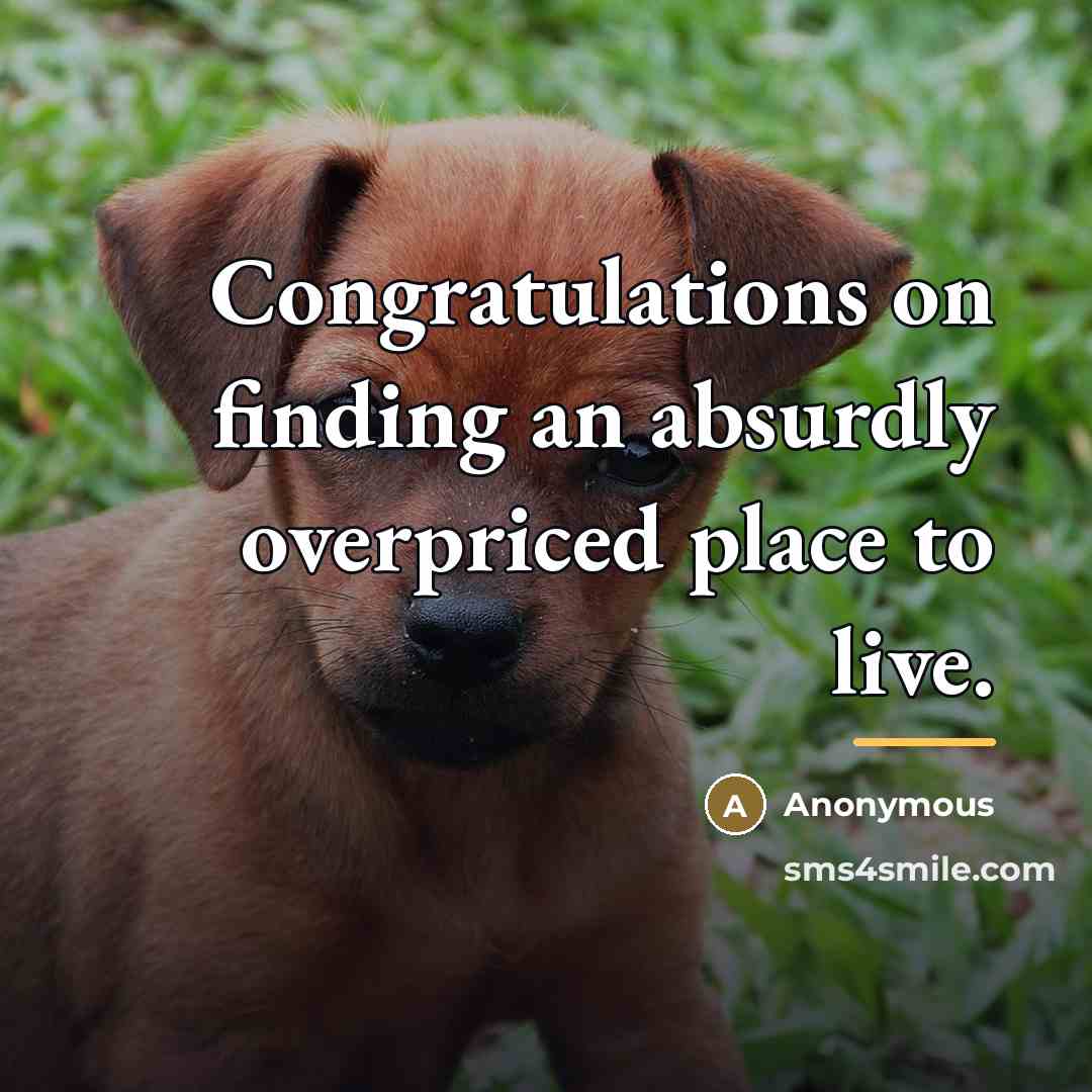 “Congratulations on finding an absurdly overpriced place to live.…” quote by Anonymous