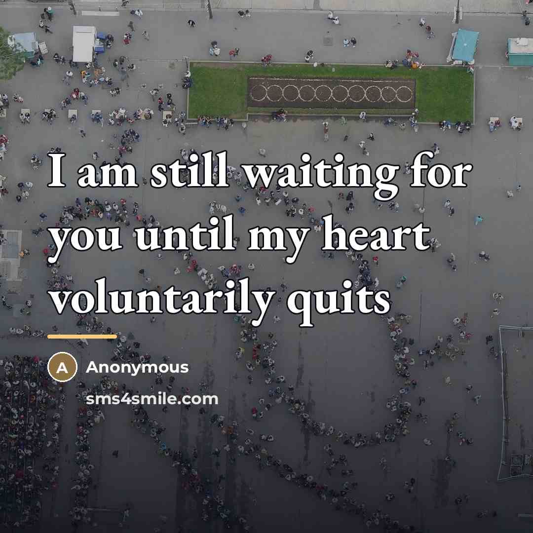 “I am still waiting for you until my heart voluntarily…” quote by Anonymous