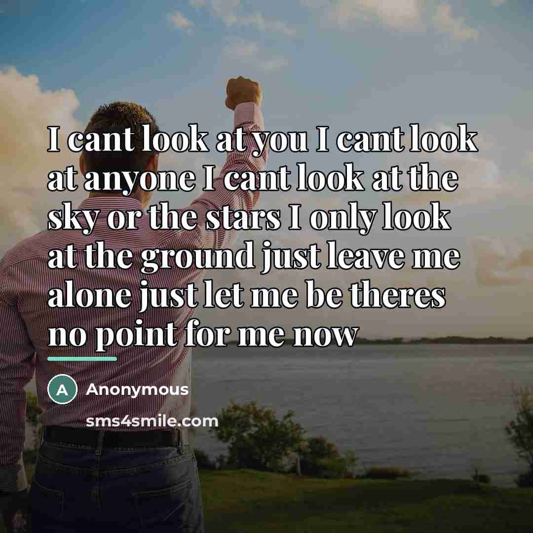 “I cant look at you I cant look at anyone I cant look at the sky or the stars I only look at the ground just leave me alone just let me be theres no point for me now” quote by Anonymous
