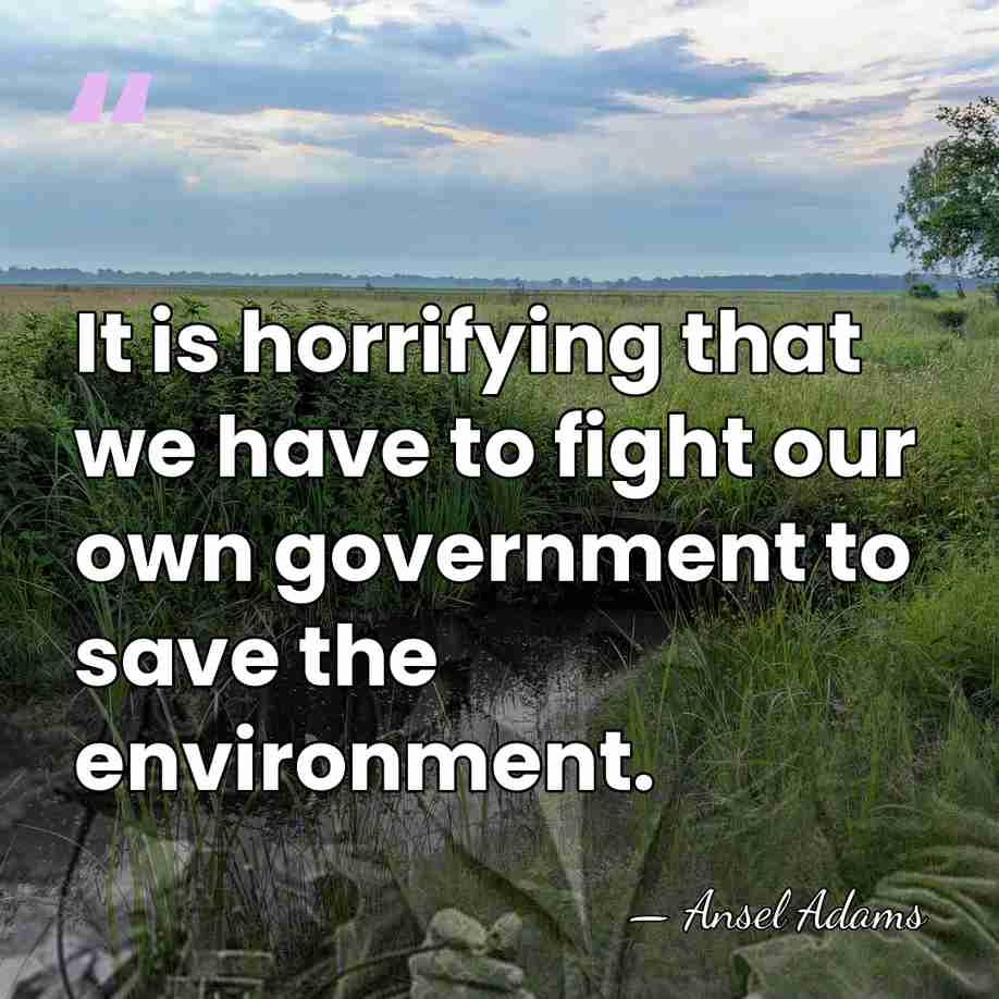It is horrifying that we have to fight our own government to&hellip; - Ansel Adams