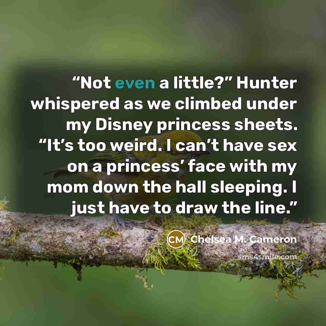 “Not even a little?” Hunter whispered as we climbed under my Disney princess sheets. “It’s too weird. I can’t have sex on a princess’ face with my mom down the hall sleeping. I just have to draw the line.” quote by Chelsea M. Cameron