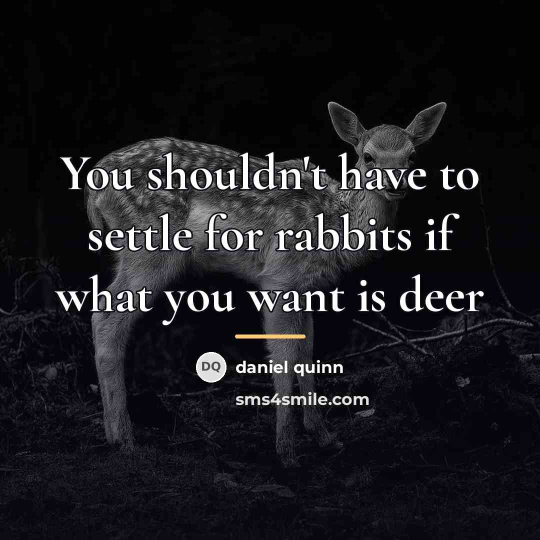 “You shouldn't have to settle for rabbits if what you…” quote by Daniel Quinn