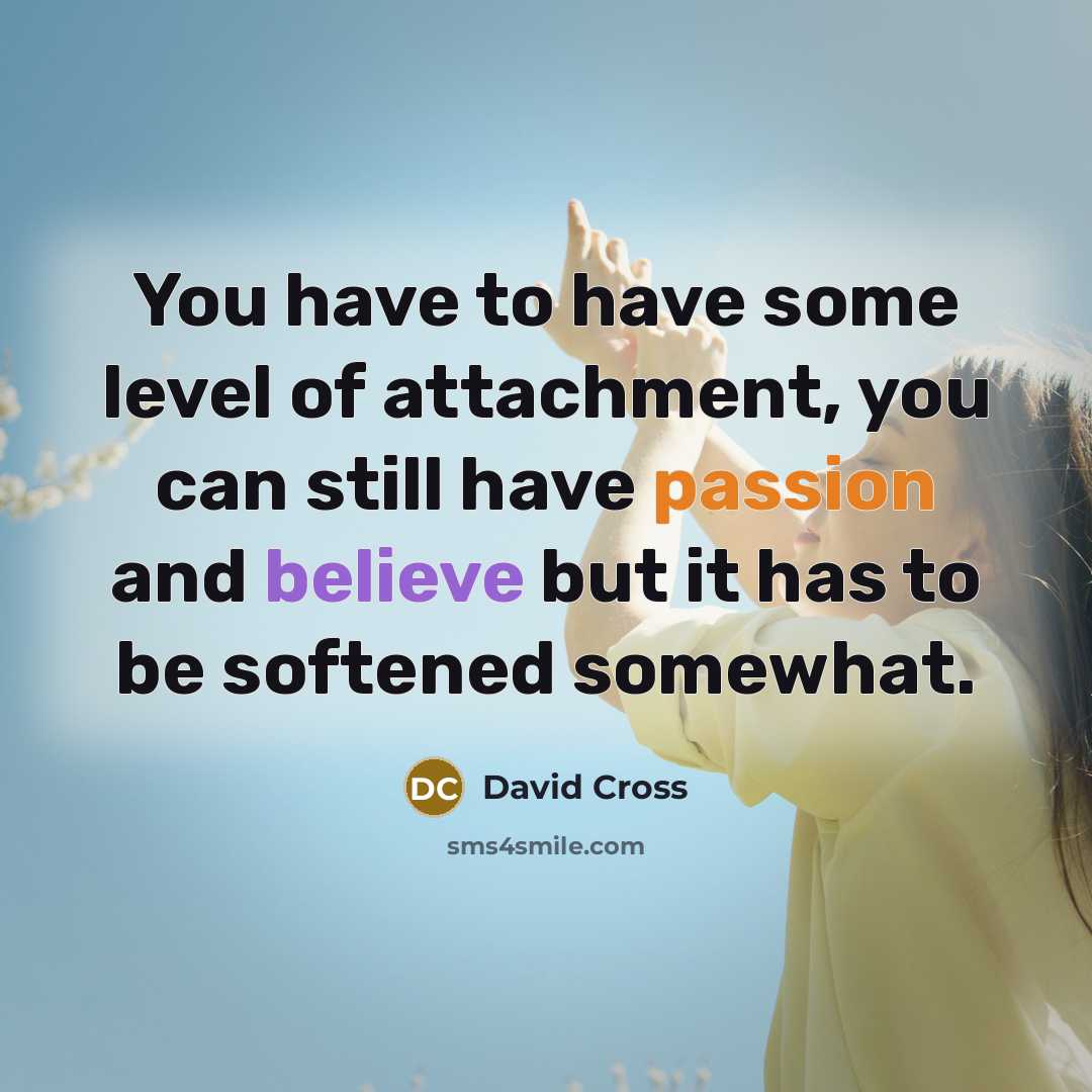 “You have to have some level of attachment, you can…” quote by David Cross