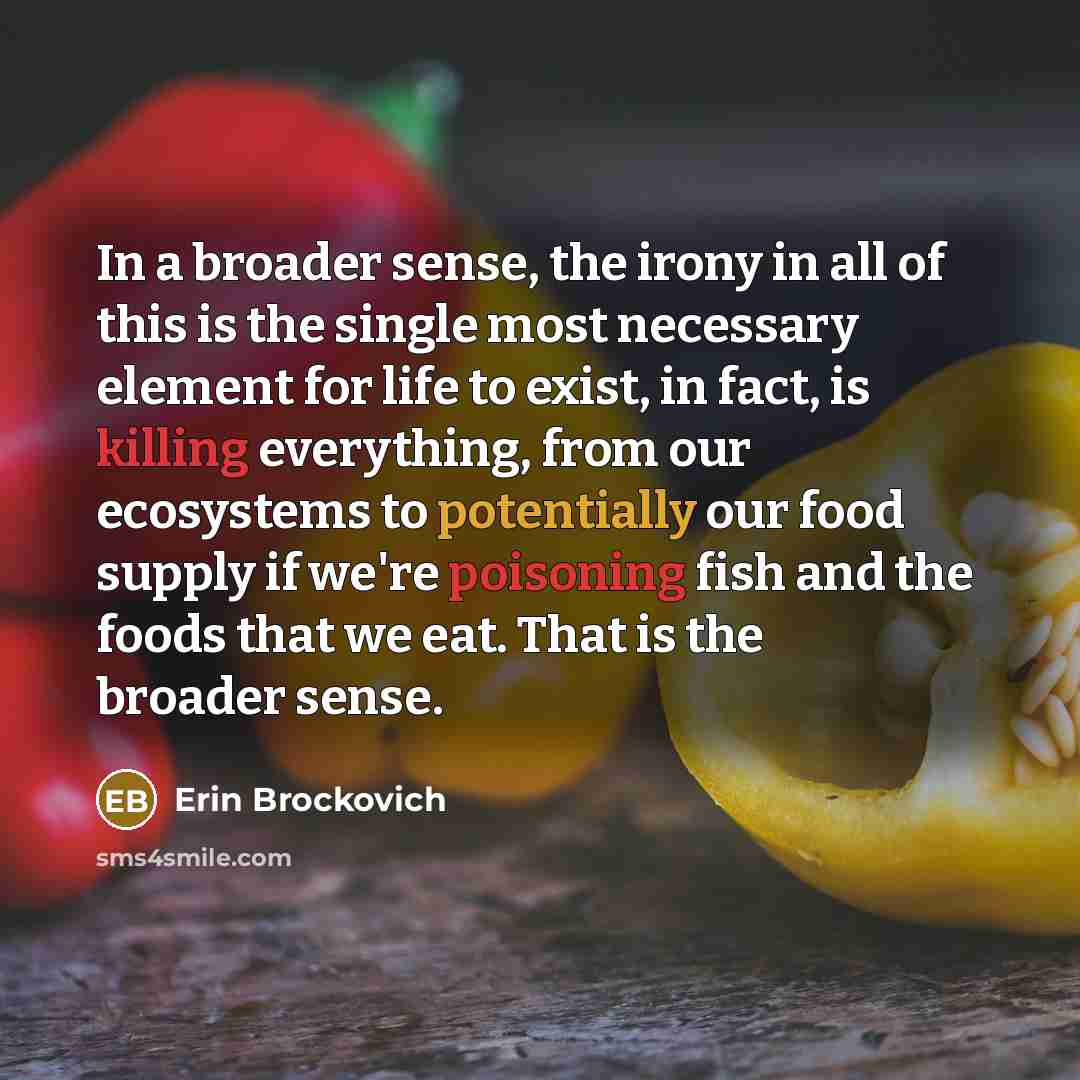 “In a broader sense, the irony in all of this…” quote by Erin Brockovich