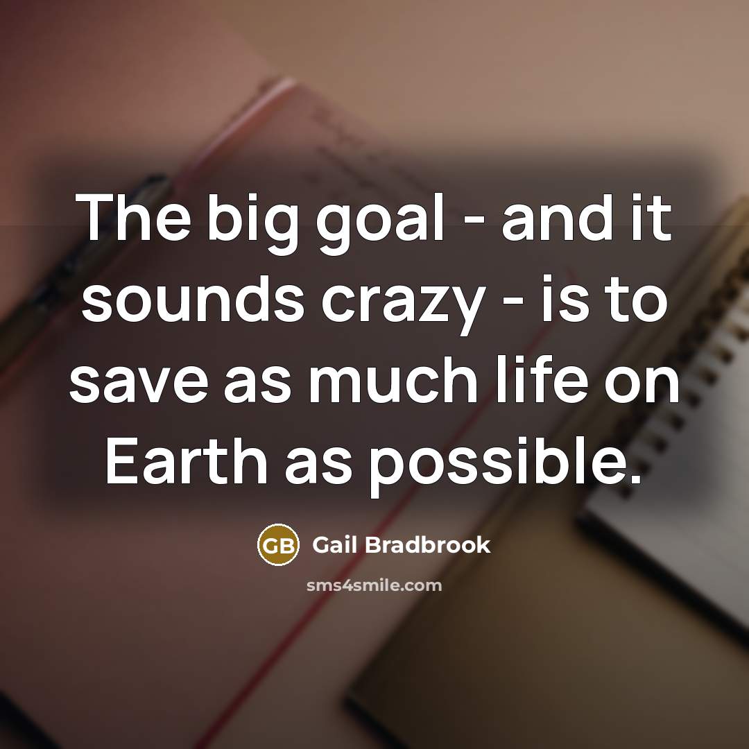 “The big goal - and it sounds crazy - is…” quote by Gail Bradbrook