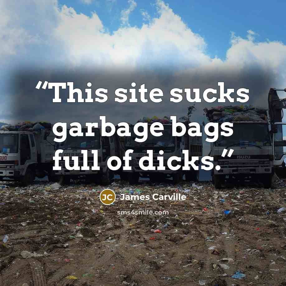 “This site sucks garbage bags full of dicks.” quote by James Carville