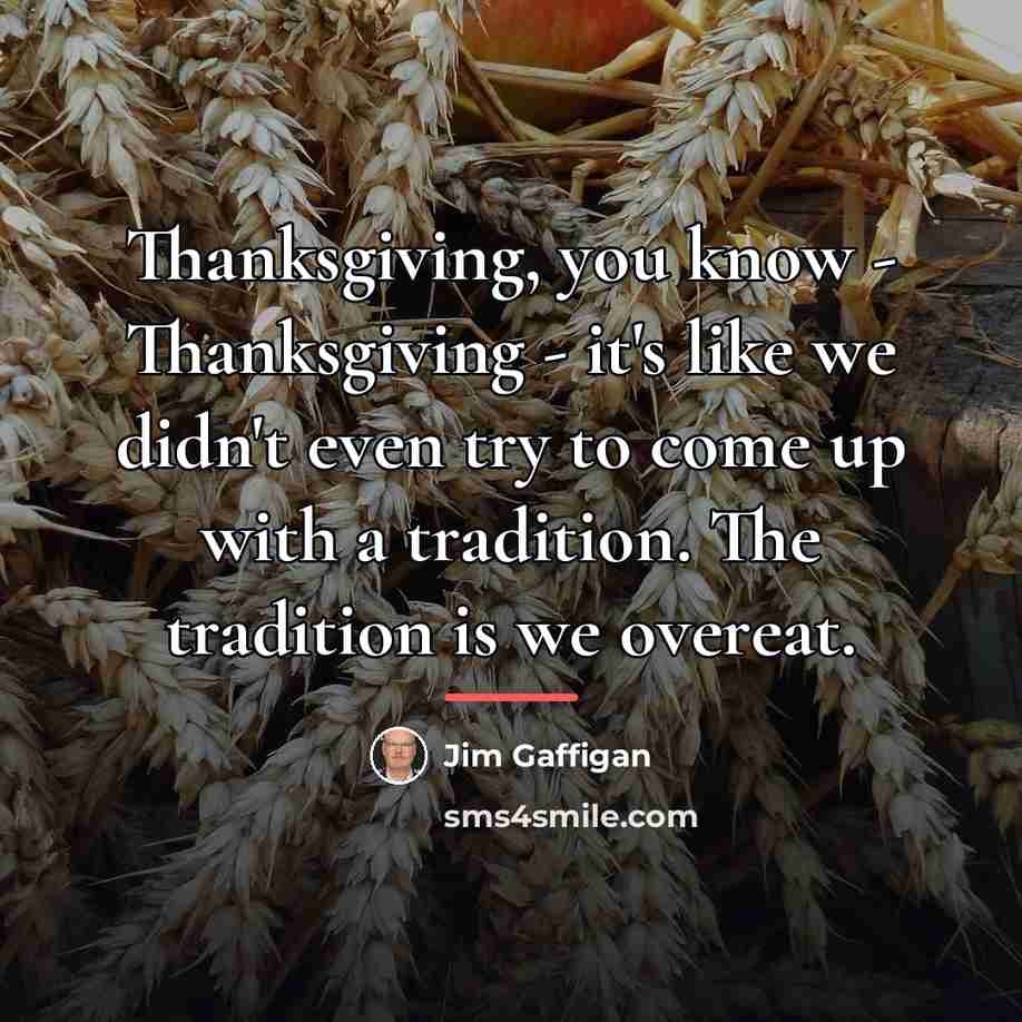 “Thanksgiving, you know - Thanksgiving - it's like we didn't…” quote by Jim Gaffigan