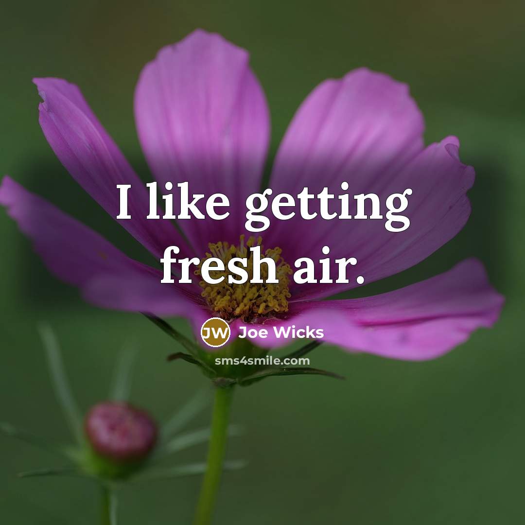“I like getting fresh air.…” quote by Joe Wicks