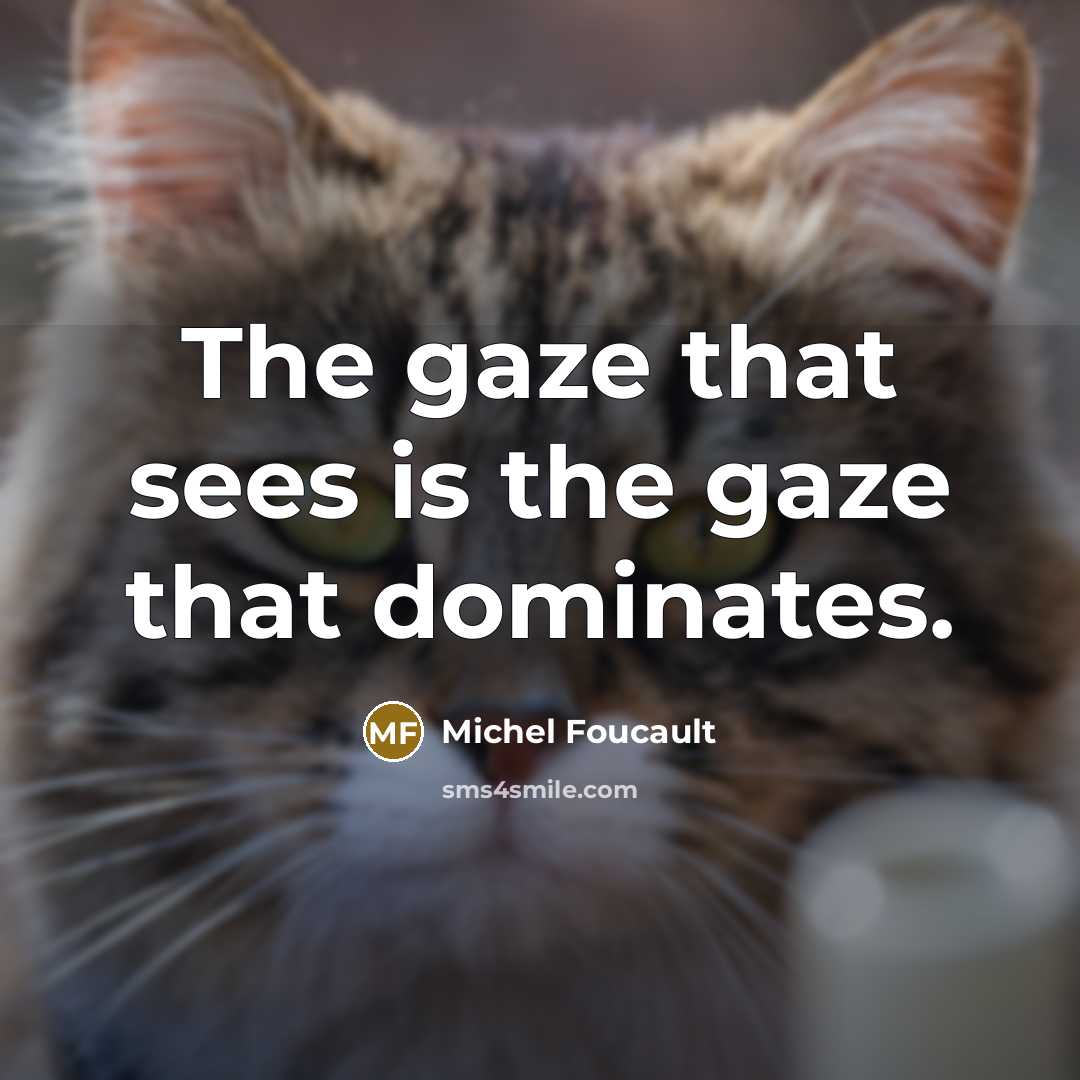 “The gaze that sees is the gaze that dominates.…” quote by Michel Foucault