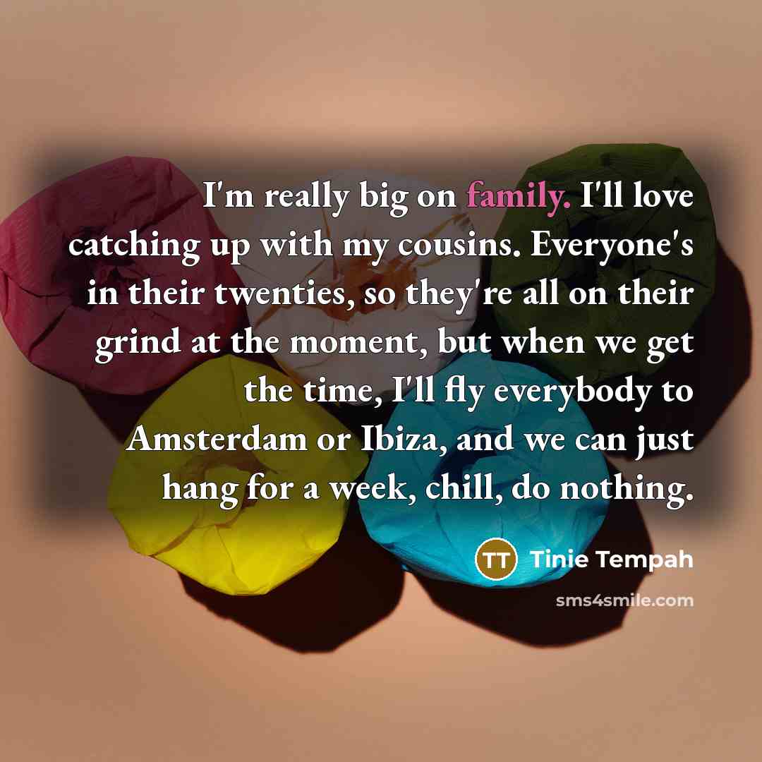 “I'm really big on family. I'll love catching up with…” quote by Tinie Tempah
