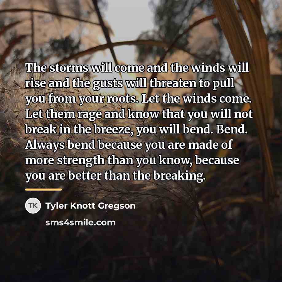 “The storms will come and the winds will rise and…” quote by Tyler Knott Gregson