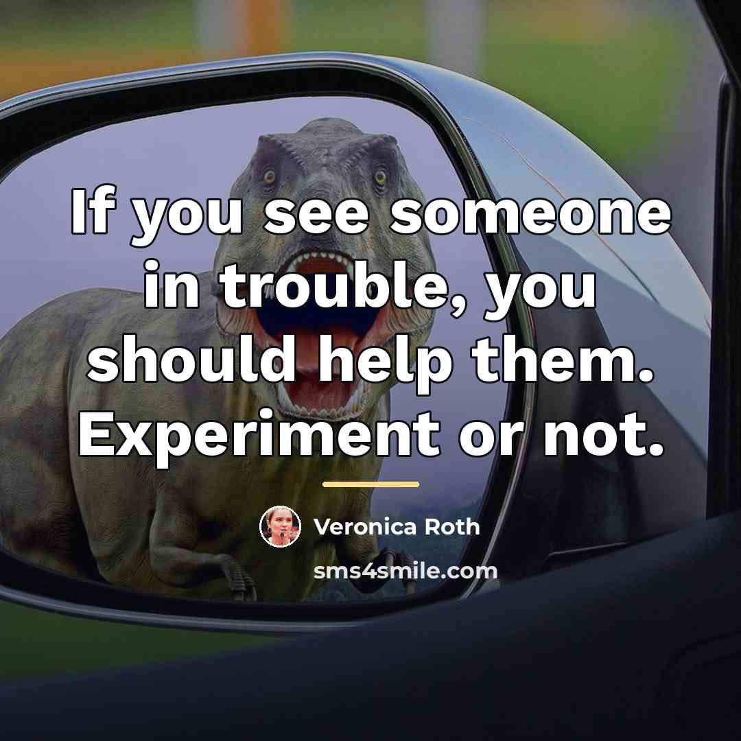 “If you see someone in trouble, you should help them.…” quote by Veronica Roth