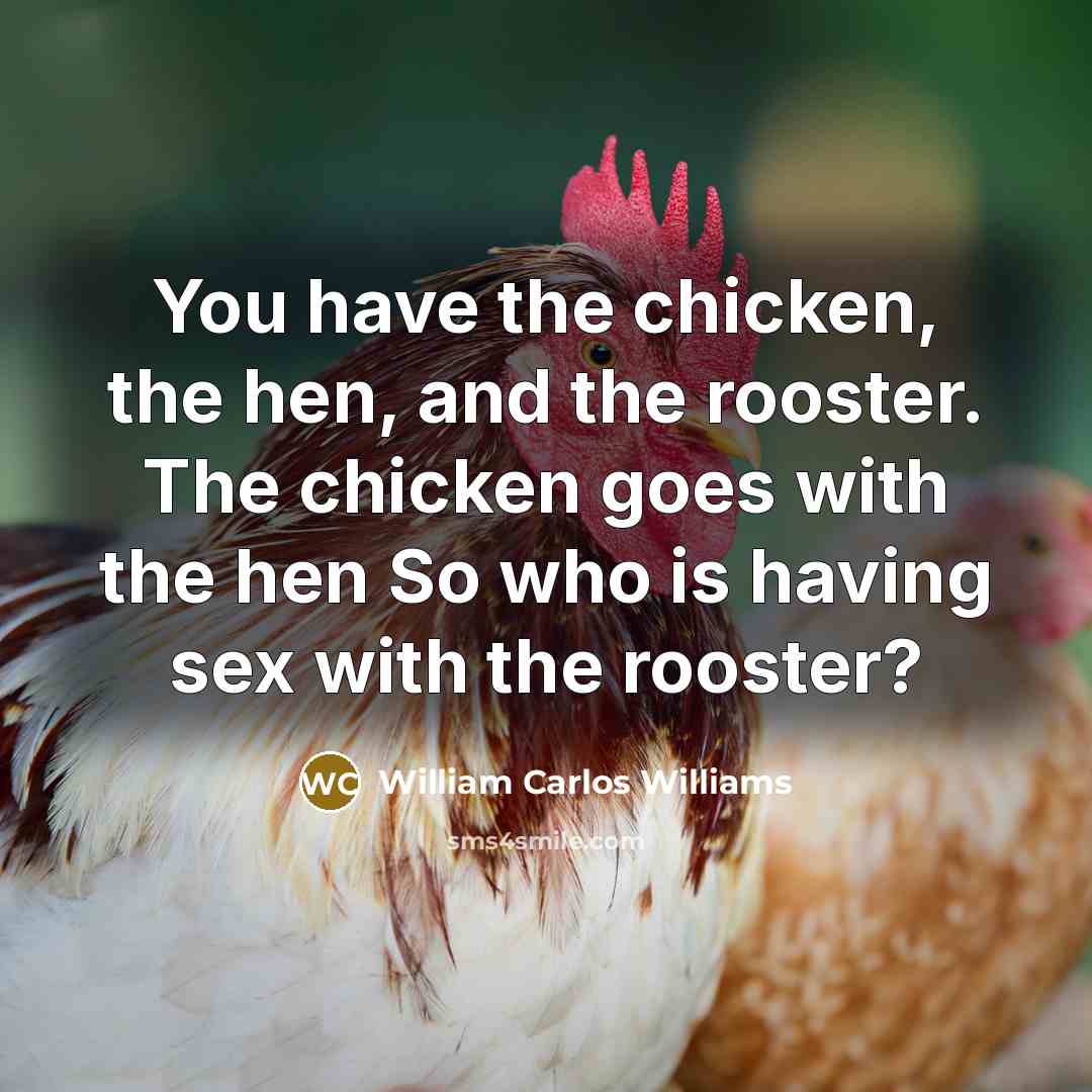 “You have the chicken, the hen, and the rooster. The chicken goes with the hen So who is having sex with the rooster?” quote by William Carlos Williams