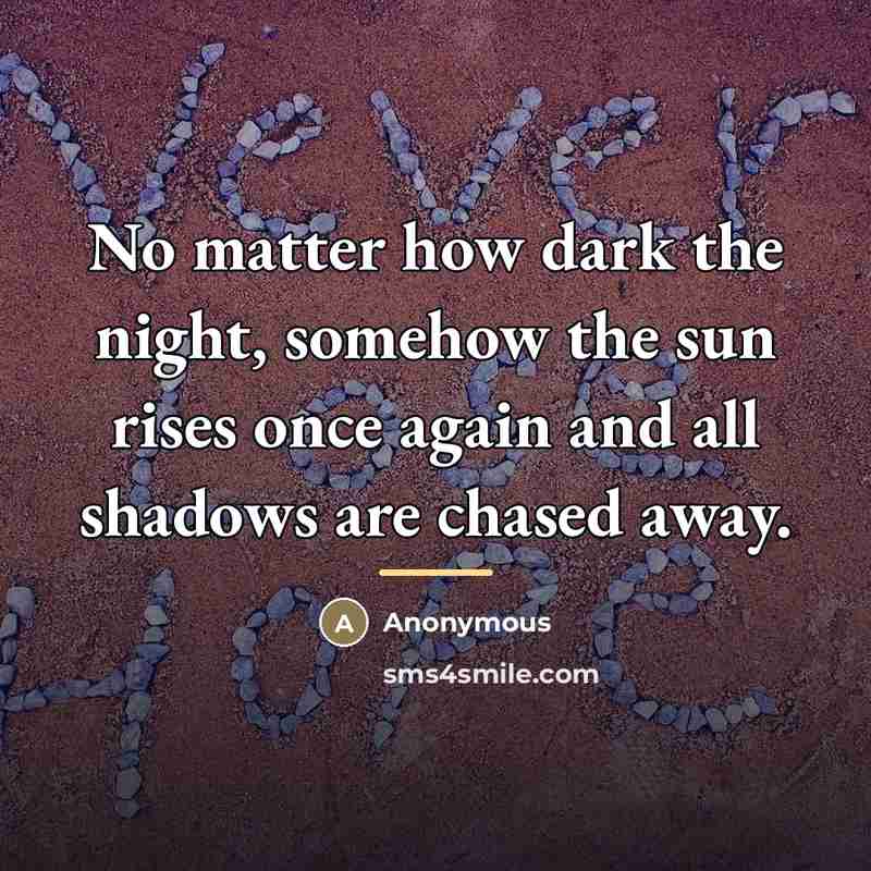 “No matter how dark the night, somehow the sun rises…” quote by David Matthew