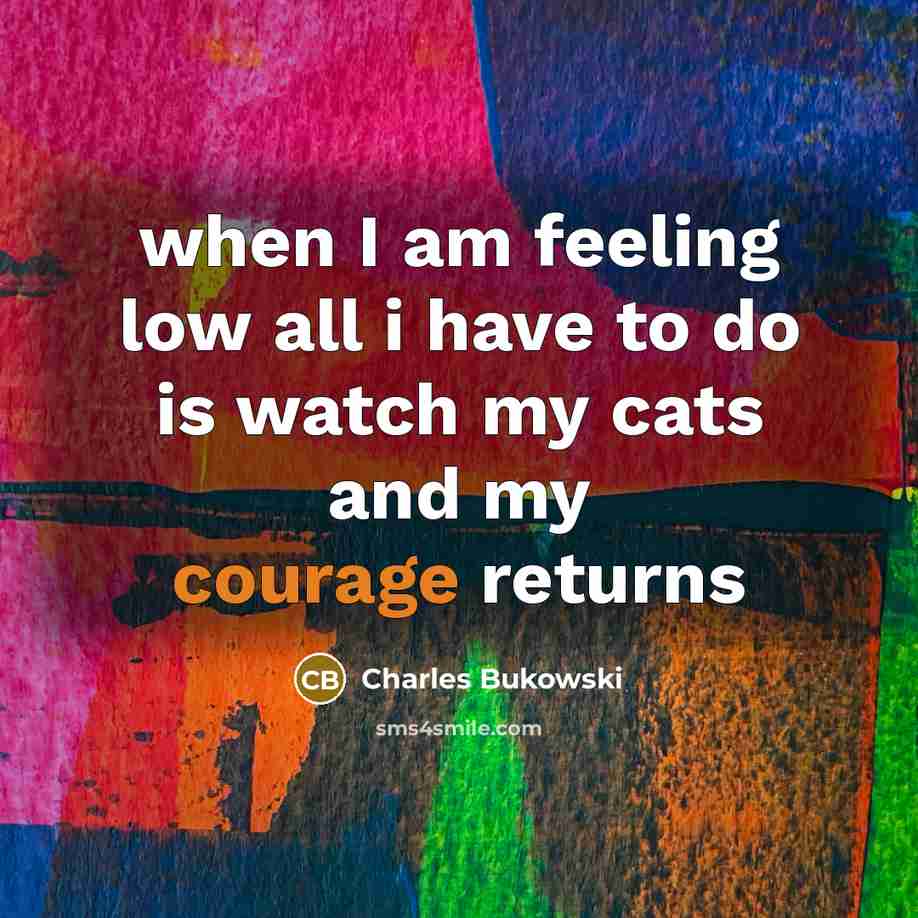 “when I am feeling low all i have to do…” quote by Charles Bukowski