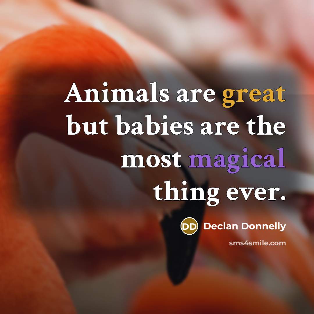 “Animals are great but babies are the most magical thing…” quote by Declan Donnelly