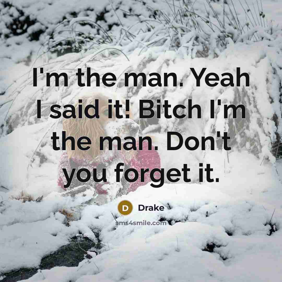 “I'm the man. Yeah I said it! Bitch I'm the…” quote by Drake