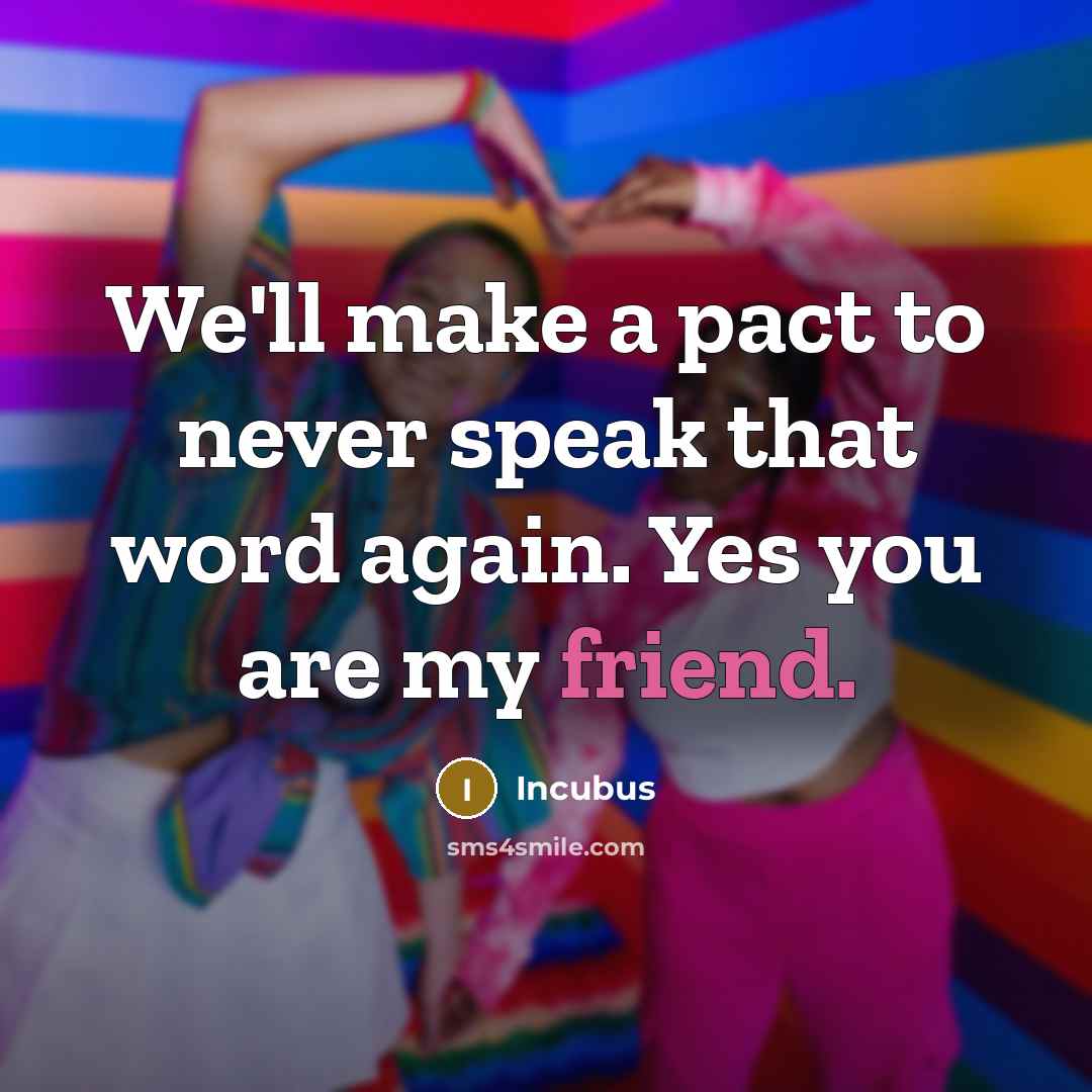 “We'll make a pact to never speak that word again. Yes you are my friend.” quote by Incubus