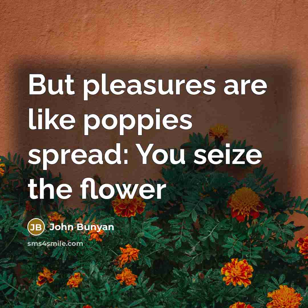 “But pleasures are like poppies spread: You seize the flower…” quote by John Bunyan