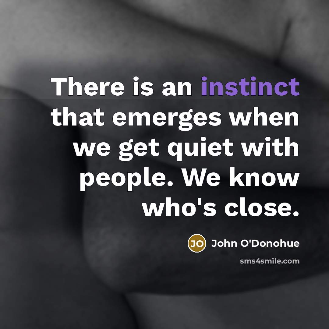 “There is an instinct that emerges when we get quiet…” quote by John O'Donohue