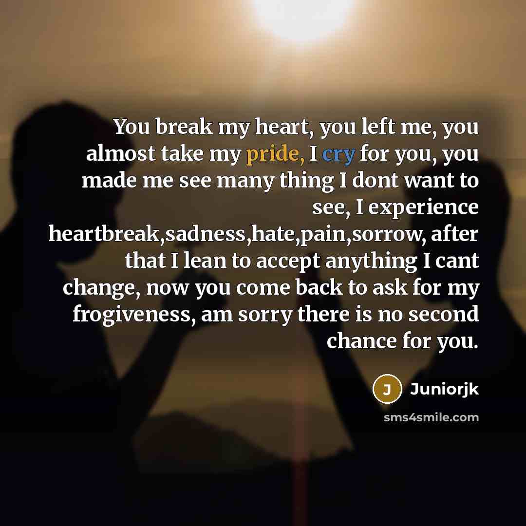 “You break my heart, you left me, you almost take…” quote by JUNIORJK